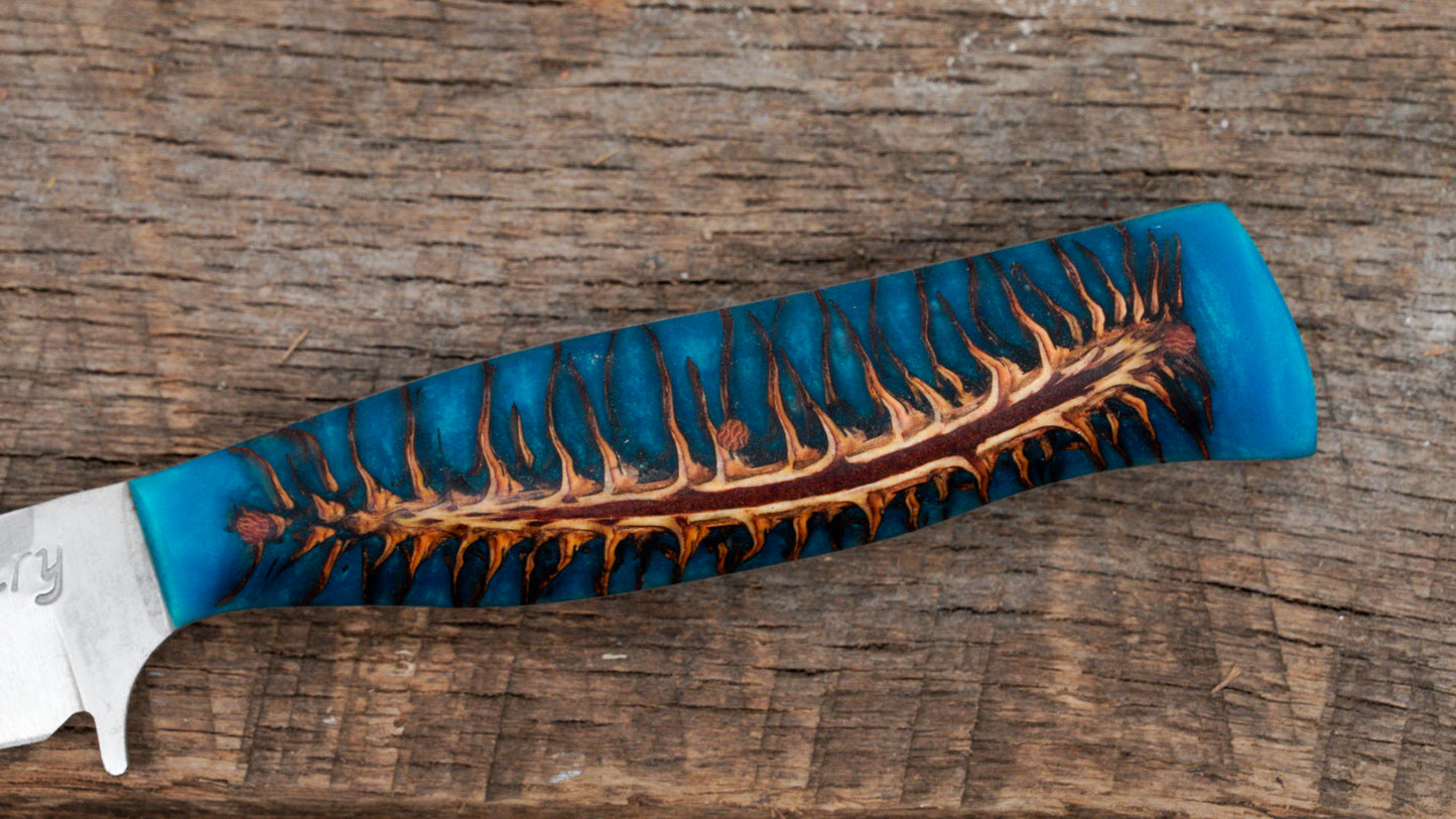 Elk River Fillet Knife