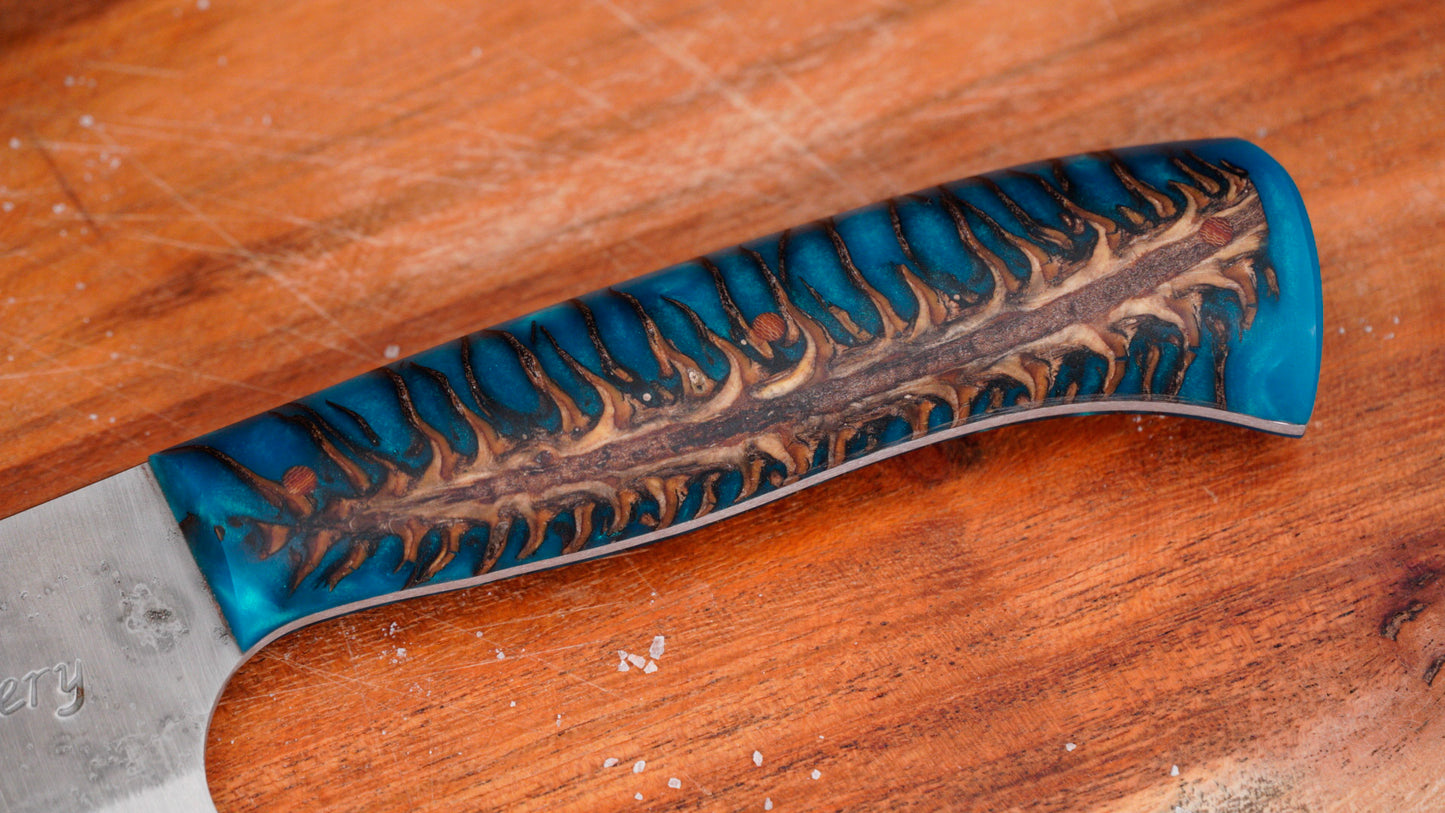 6.5" French Chef's Knife