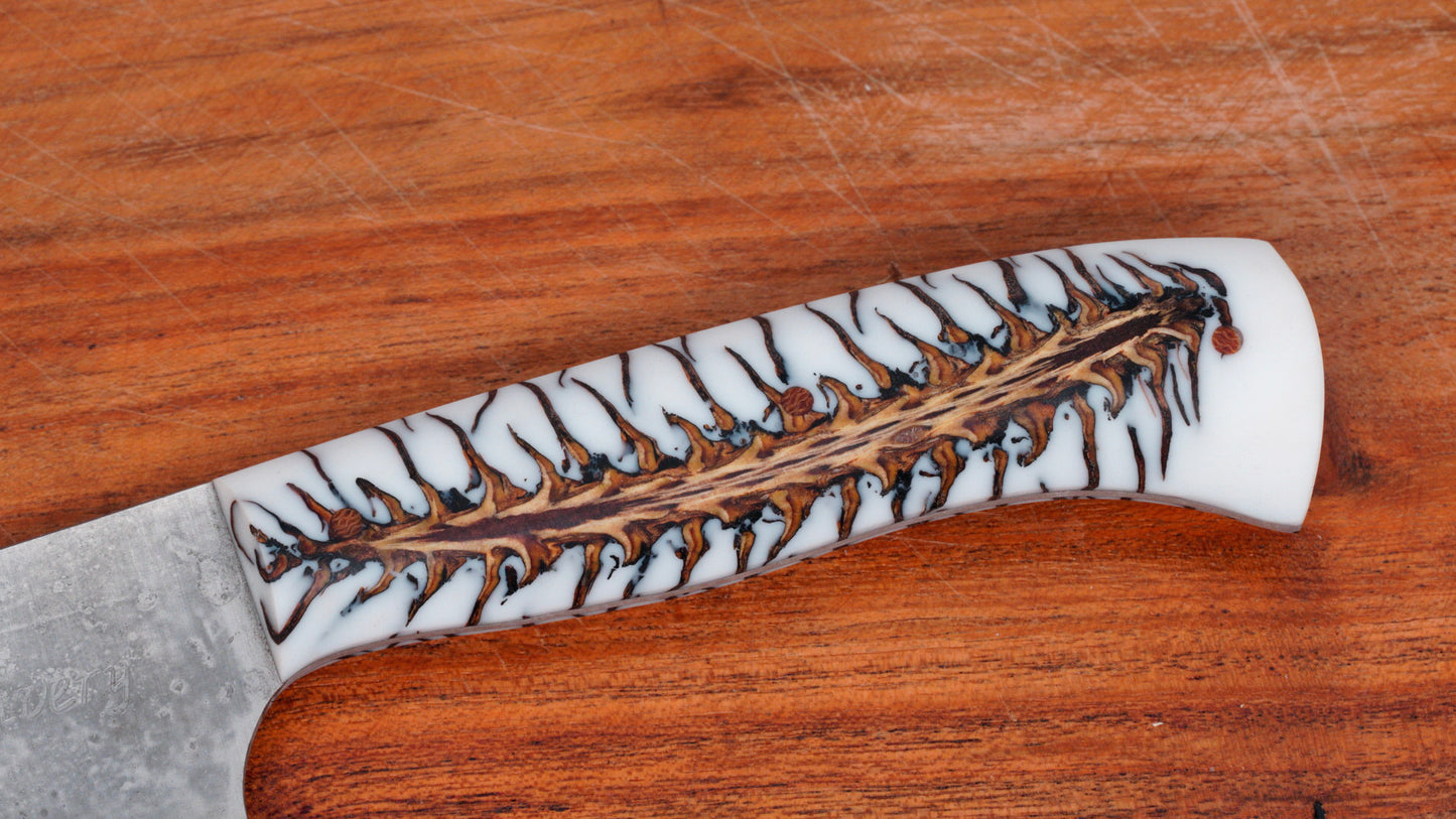 6.5" French Chef's Knife